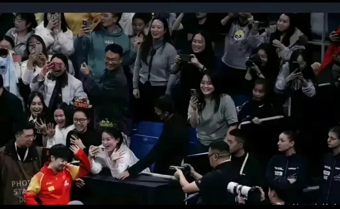 观众热情欢呼,见证选手力争上游 观众热情欢呼,见证选手力争上游