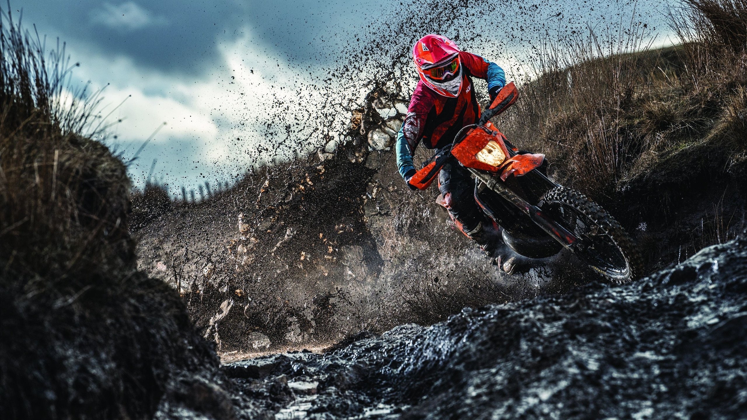 灰熊对阵广厦队,浓眉压制级发挥改写比赛格局